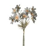Dried Botanical — FF-JH26020C